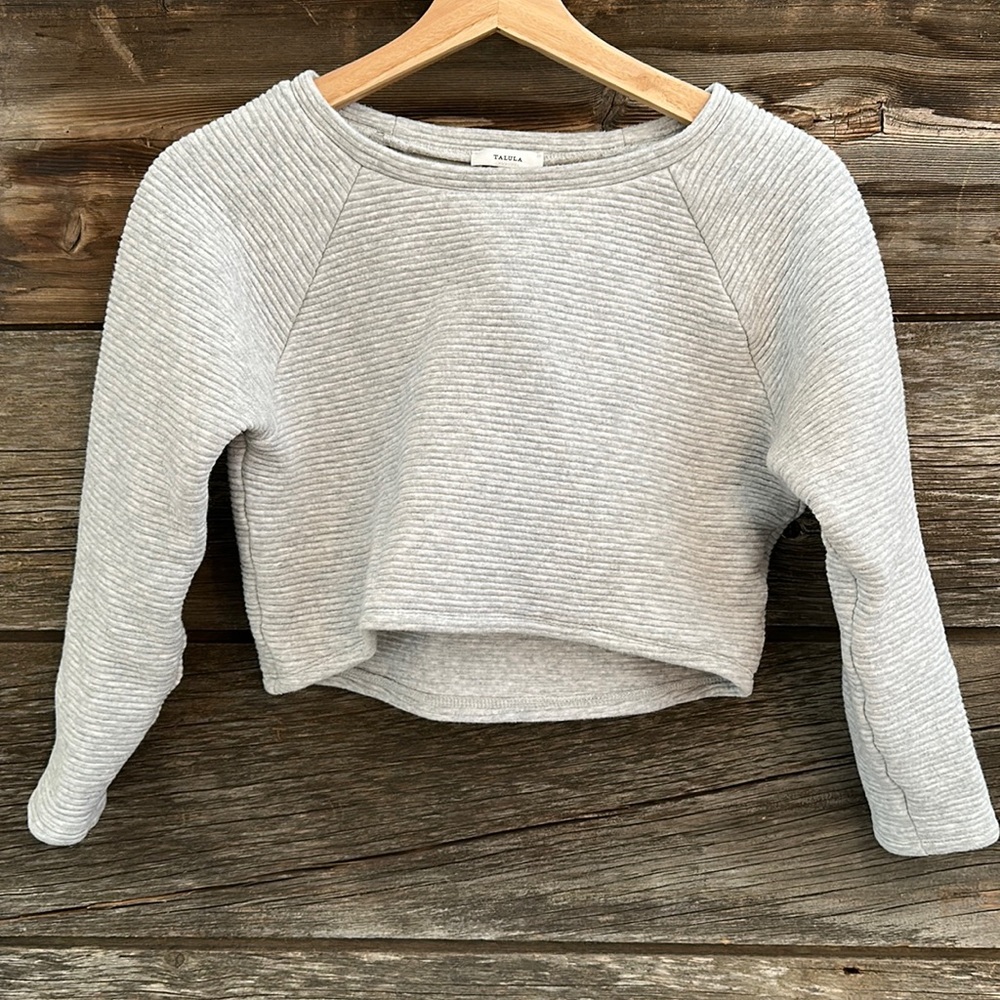 Aritzia Talula Crop Sweatshirt Small